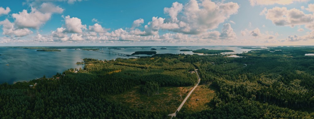 Aerial view of a coastal landscape with forest and water.